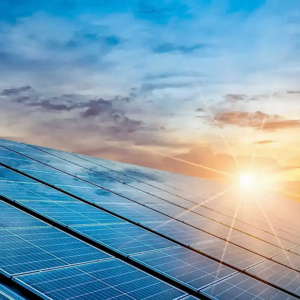 Harnessing Solar Energy at Lineadecor